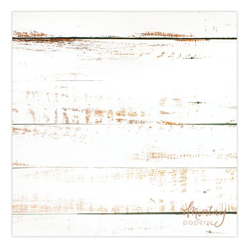 Tło Fotograficzne, 60 x 60 cm - 02
