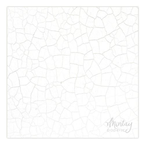 Tło Fotograficzne, 60 x 60 cm - 11