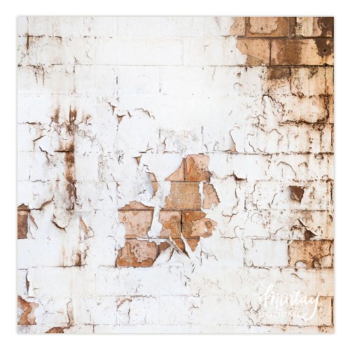 Tło Fotograficzne, 60 x 60 cm - 14