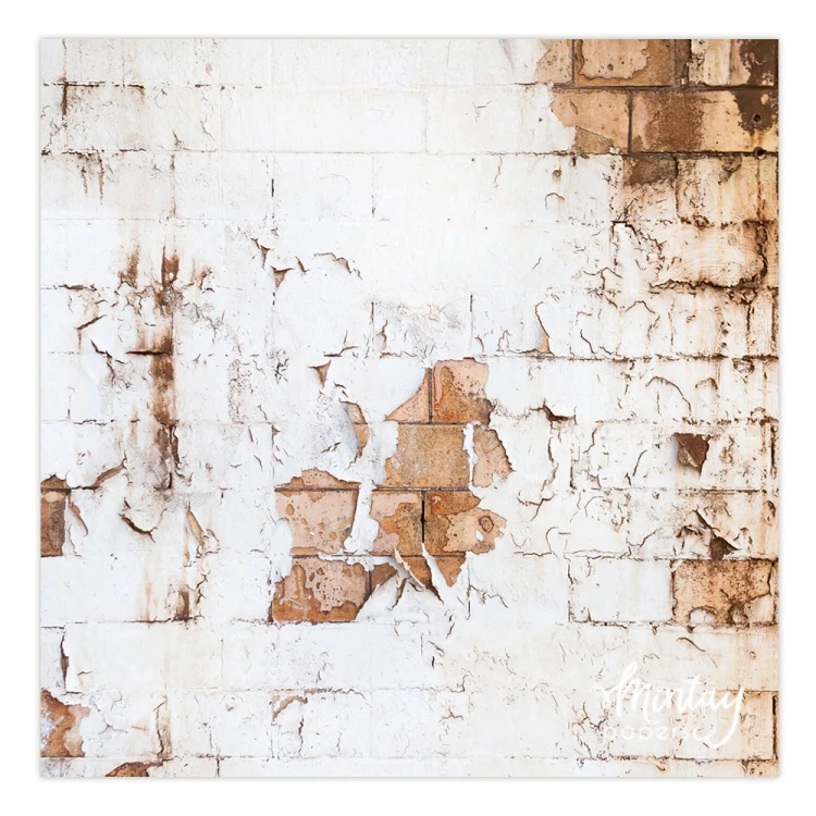 Tło Fotograficzne, 60 x 60 cm - 14