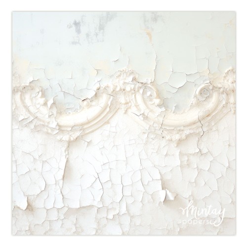 Tło Fotograficzne, 60 x 60 cm - 27