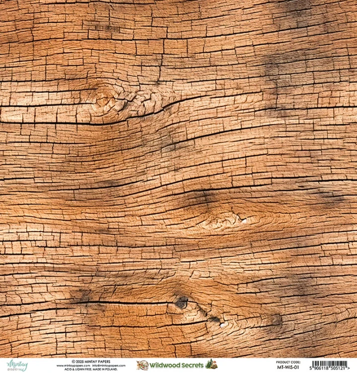 Papier 30,5 x 30,5 cm - Wildwood Secrets 01